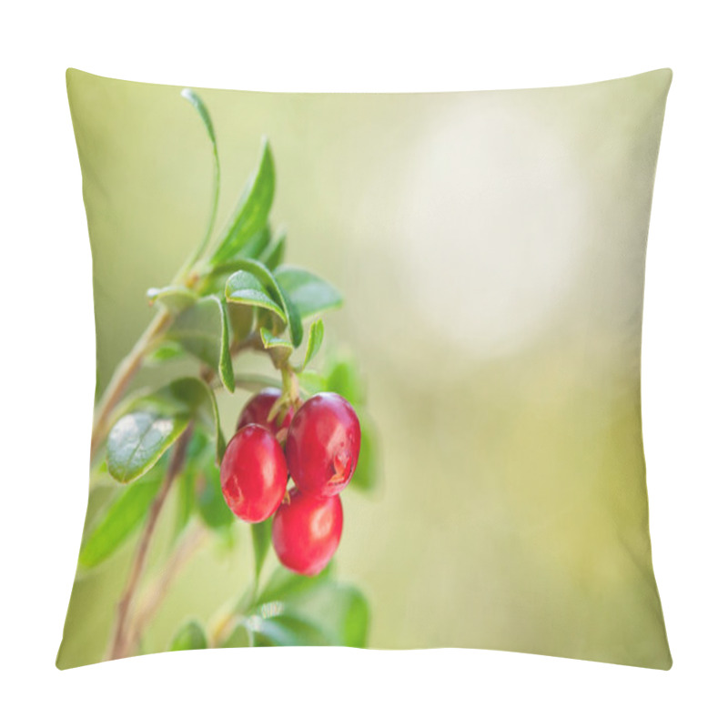 Personality  Red Bilberry  In Forest Pillow Covers