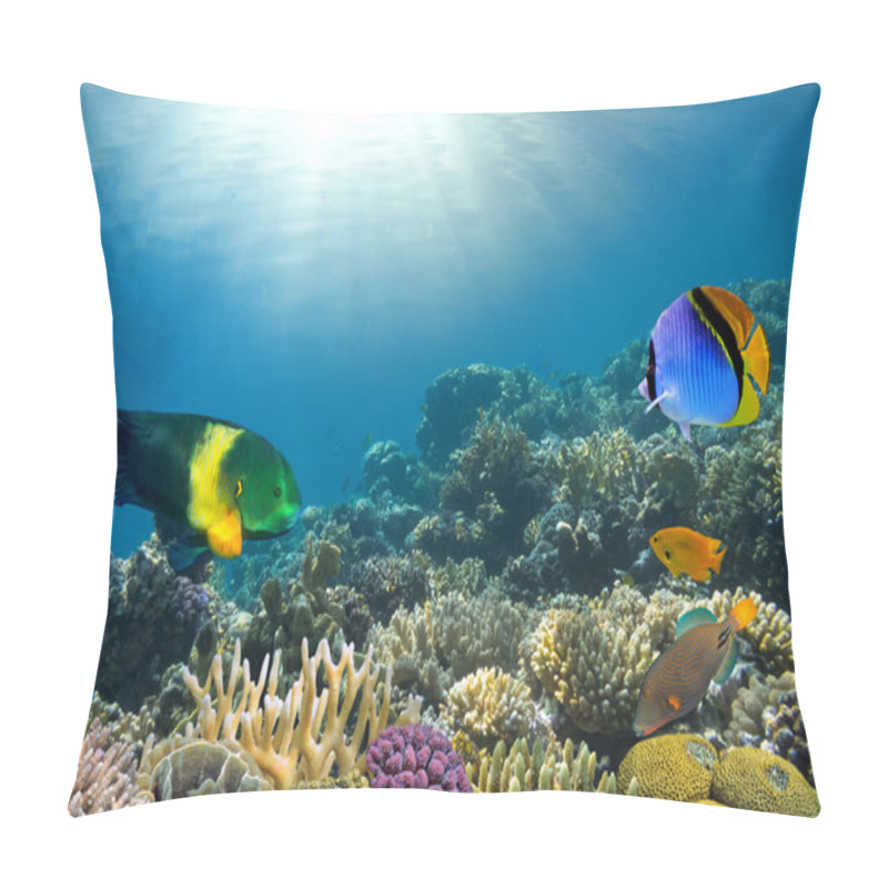 Personality  Photo Of A Coral Colony On A Reef Top Pillow Covers