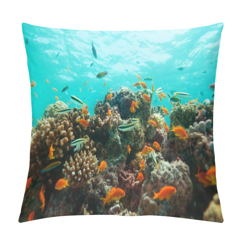 Personality  Close-up Of Corals And Fishes Pillow Covers