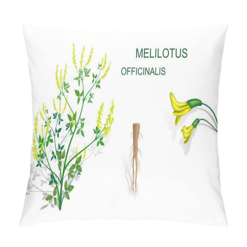 Personality  MELILOTUS OFFICINALIS Pillow Covers