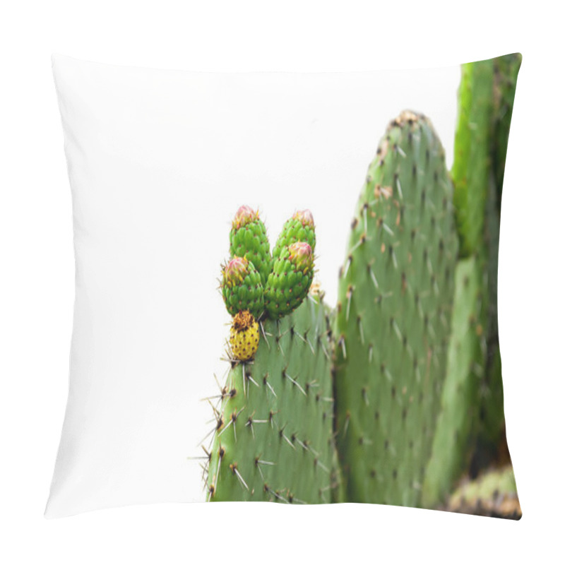 Personality  Prickly Pear Cactus Isolated On White Background Pillow Covers