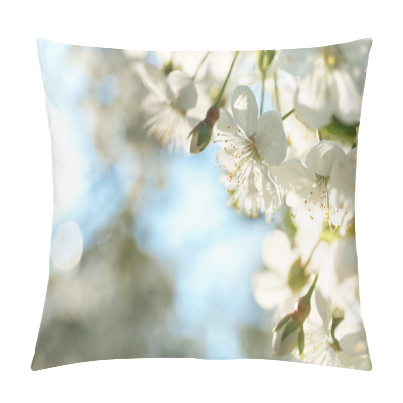 Personality  Blossoming Cherry Tree, Closeup Pillow Covers