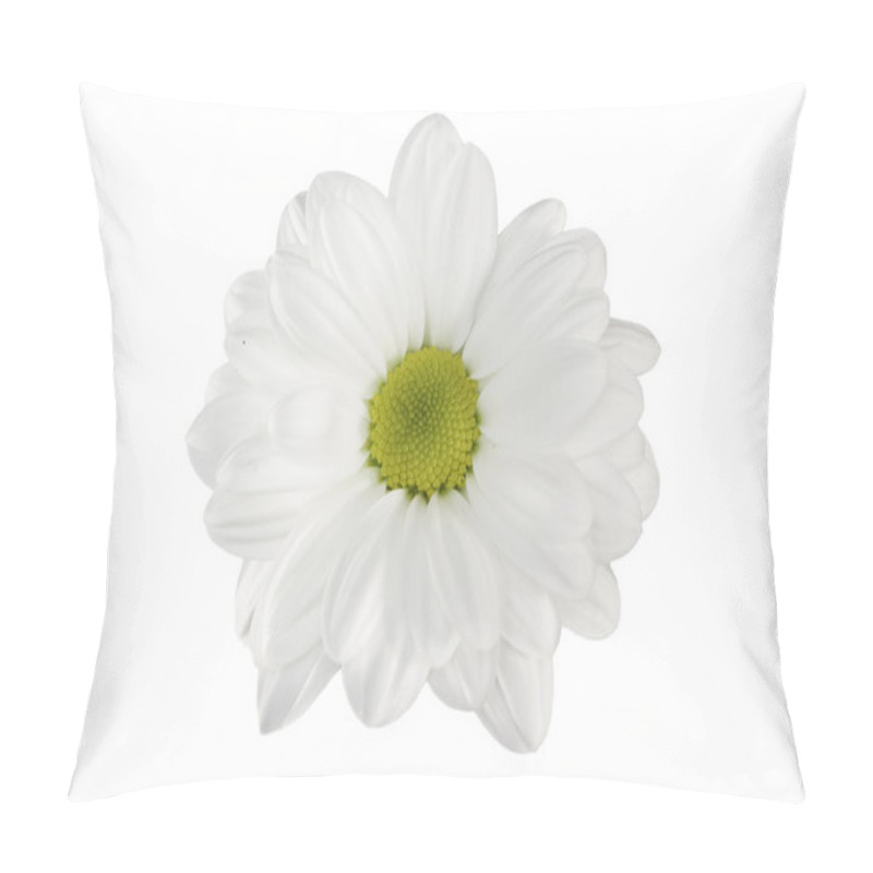 Personality  White Daisy Chrysanthemum Pillow Covers