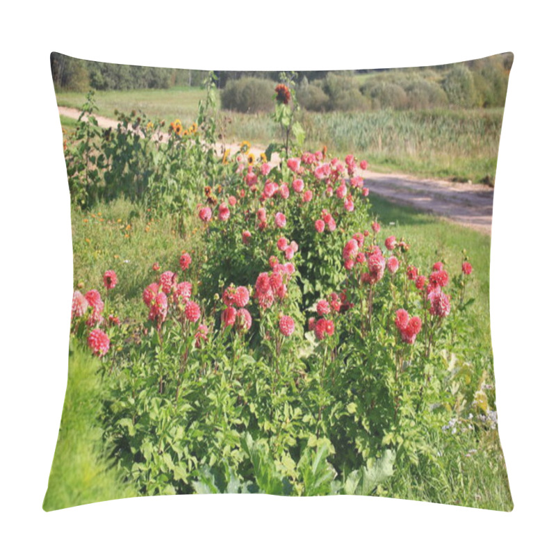 Personality  Red Asters Blooming In The Garden On A Sunny Summer Day Pillow Covers