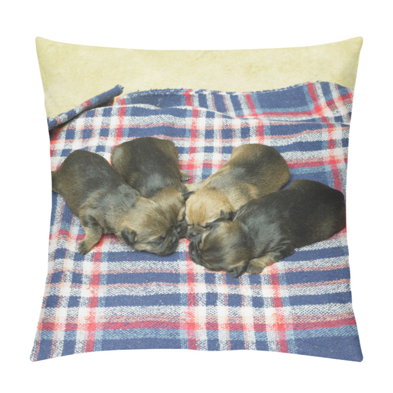 Personality  Puppies Pillow Covers