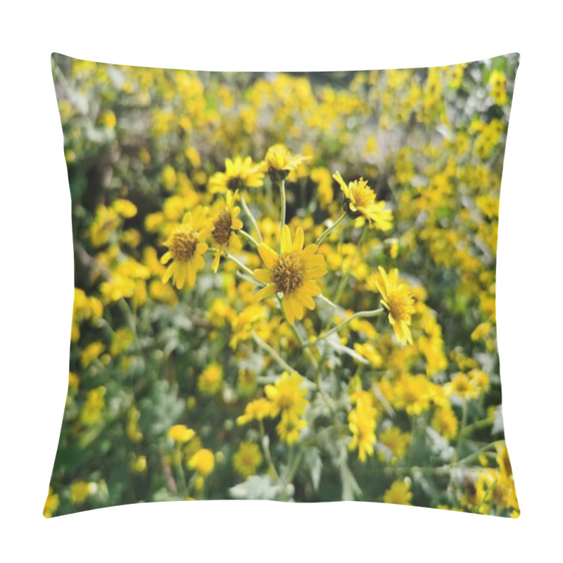 Personality  Mini Yellow Chrysanthemum Flowers Beside The Pond,swaying In The Wind. Blurred Background With Yellow Chrysanthemum Flower. Pillow Covers