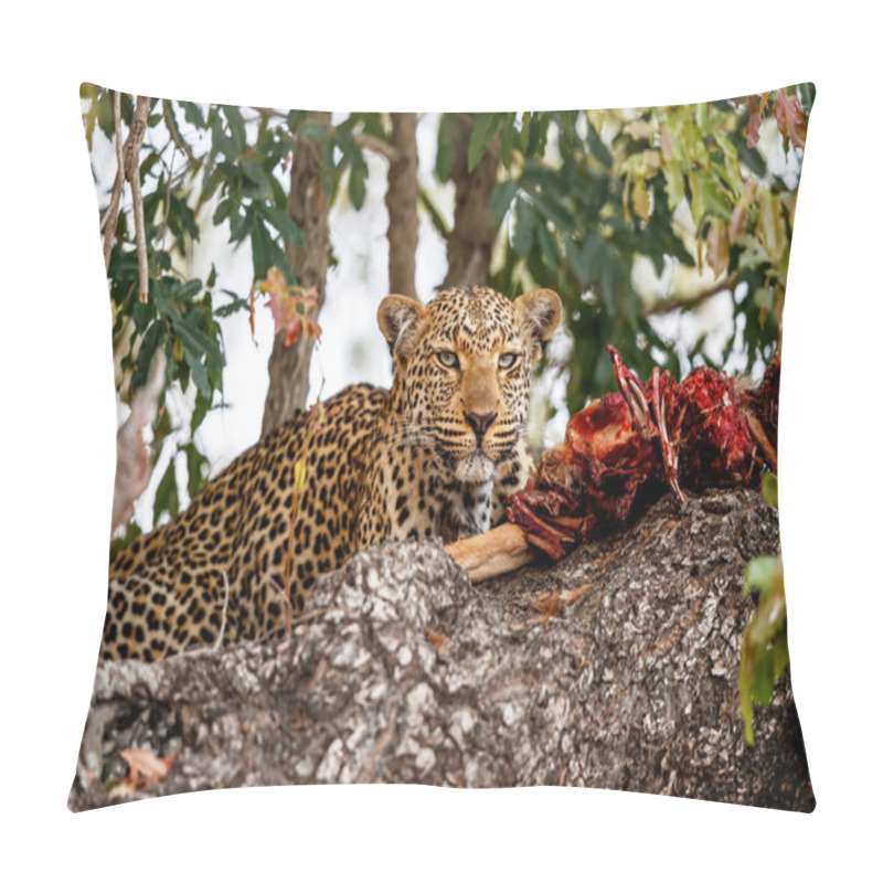 Personality  Female Leopard Eating From Her Prey In A Tree In Sabi Sands Game Reserve In The Greater Kruger Region In South Africa Pillow Covers