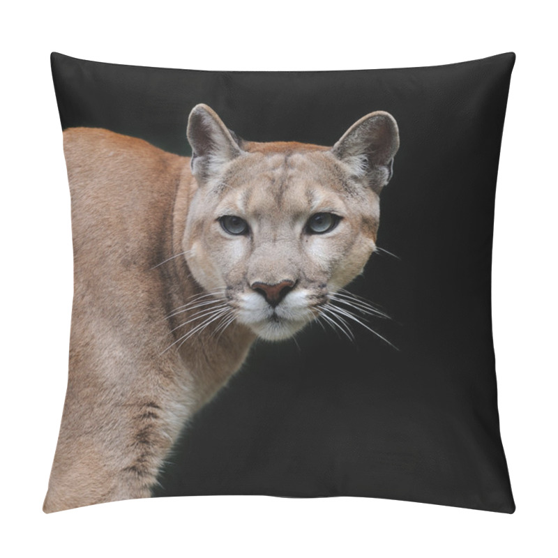 Personality  Puma Pillow Covers