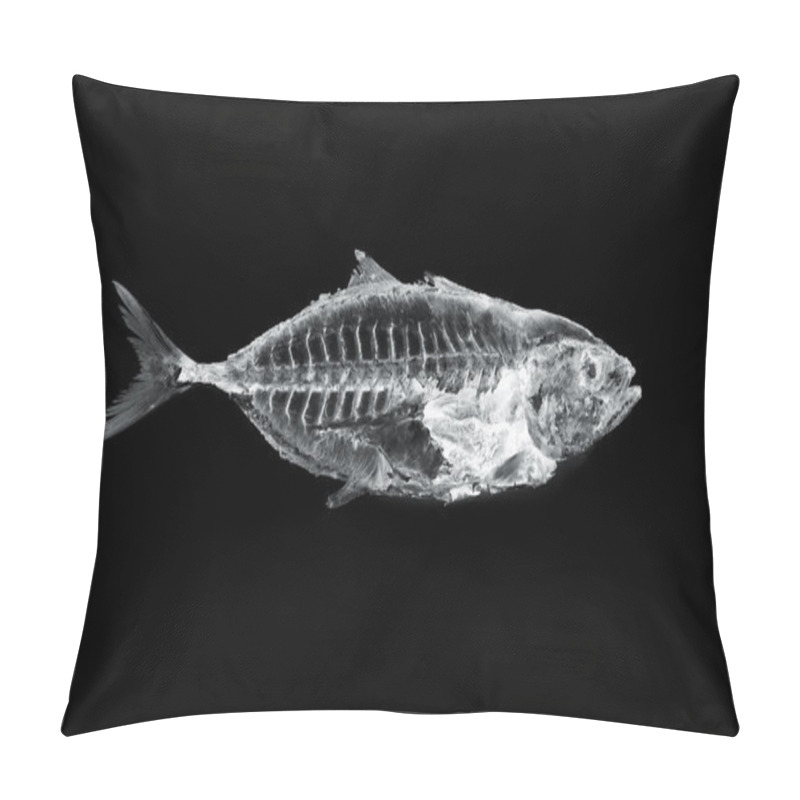 Personality  Fish X Ray Pillow Covers