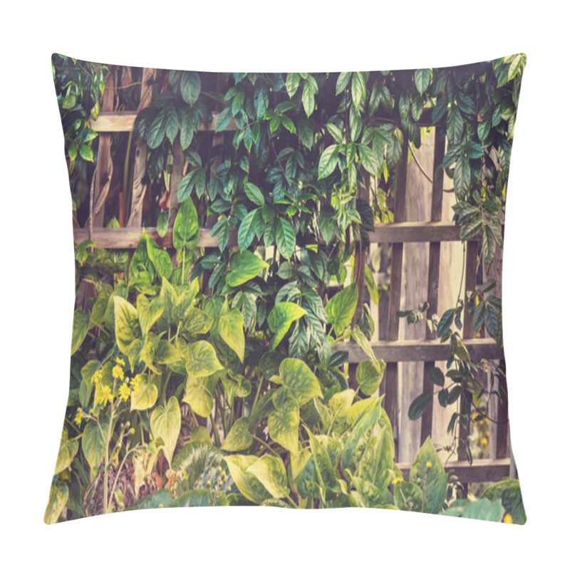 Personality  Summer Background With Tropical  Tree Leaves Pillow Covers