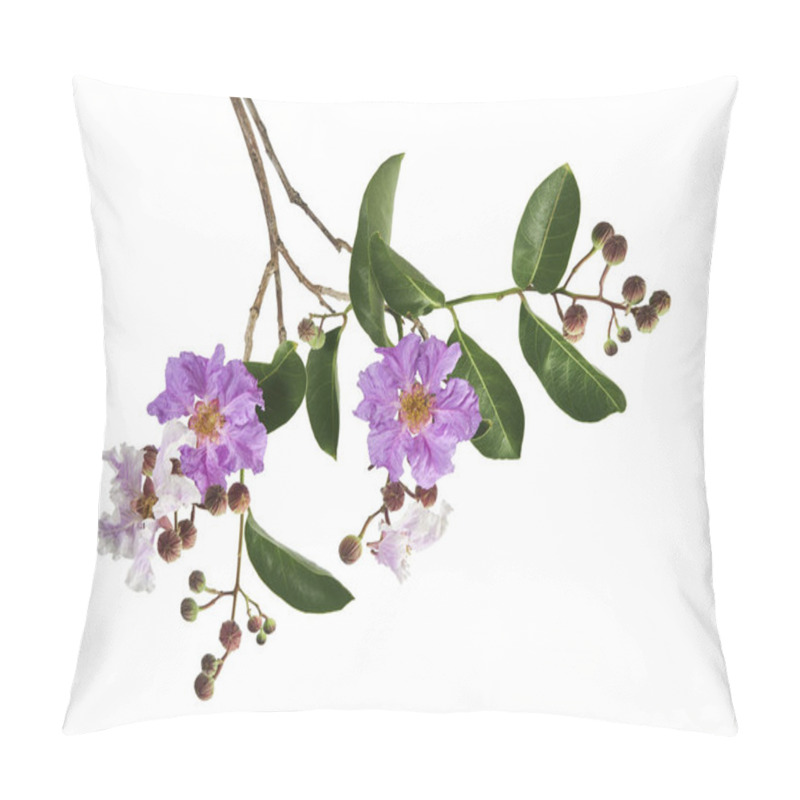 Personality  Banaba Flower With Leaves And Flower Buds, Tropical Flowers, Purple Flowers Isolated On White Background, With Clipping Path   Pillow Covers