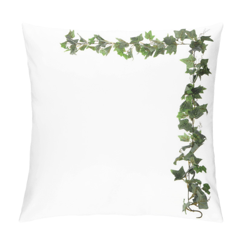 Personality  Frame From Green Ivy Isolated On White Background Pillow Covers