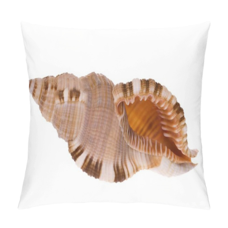 Personality  Isolated Macro Image Of A Sea Shell. Pillow Covers