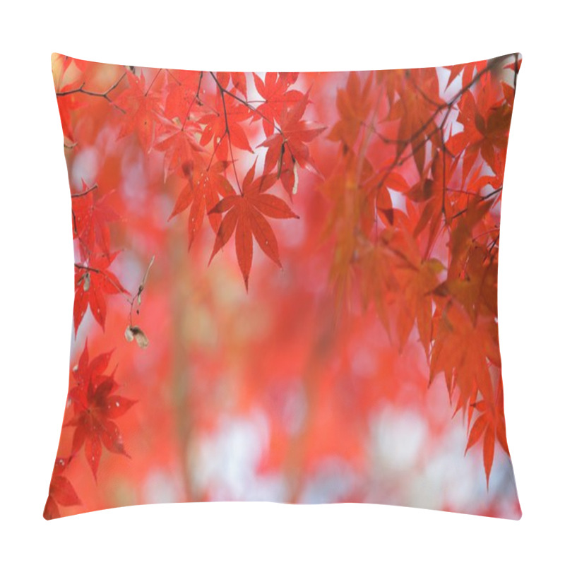 Personality  Red Maple Tree Background Pillow Covers