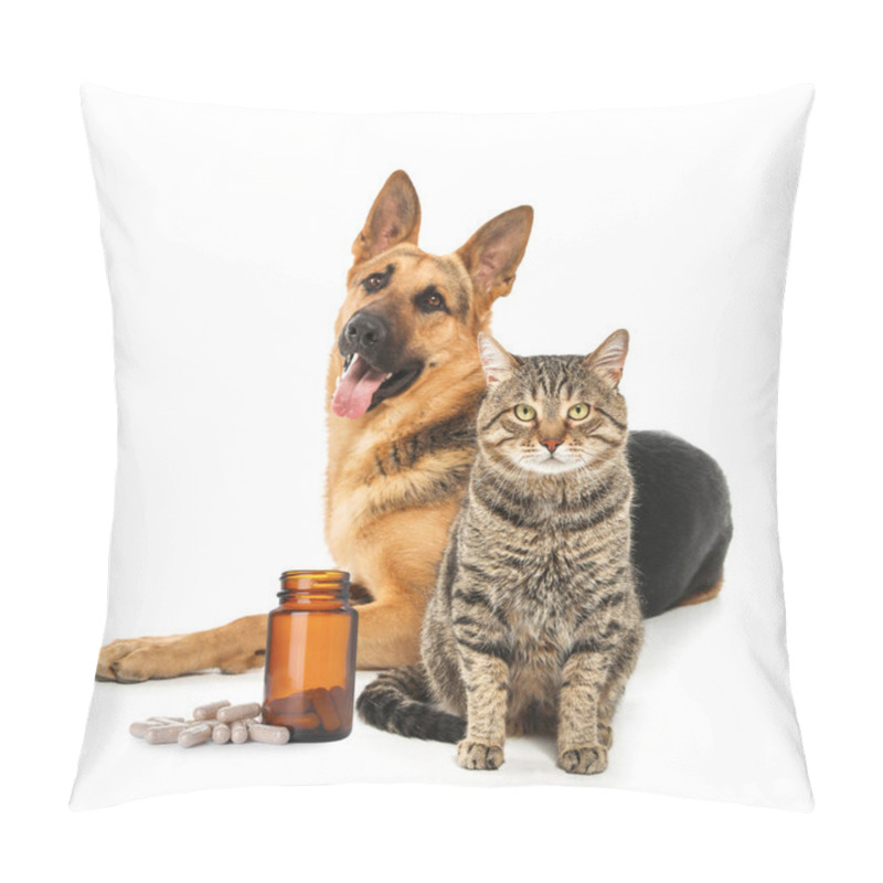 Personality  Vitamins For Pets. Cute Dog With Cat And Pills On White Background Pillow Covers