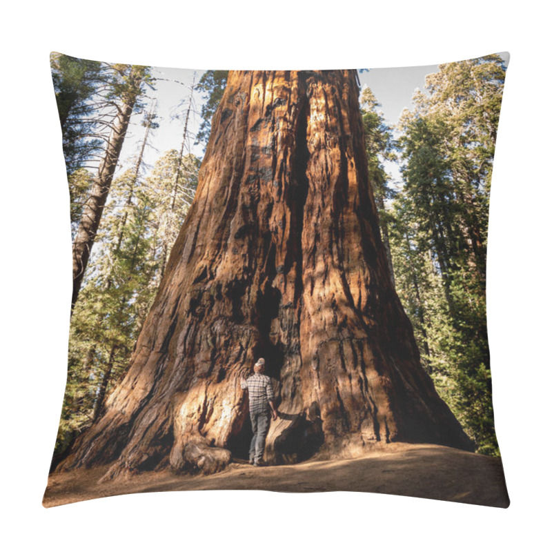 Personality  Giant Sequoia Tree In The Sequoia National Park Pillow Covers