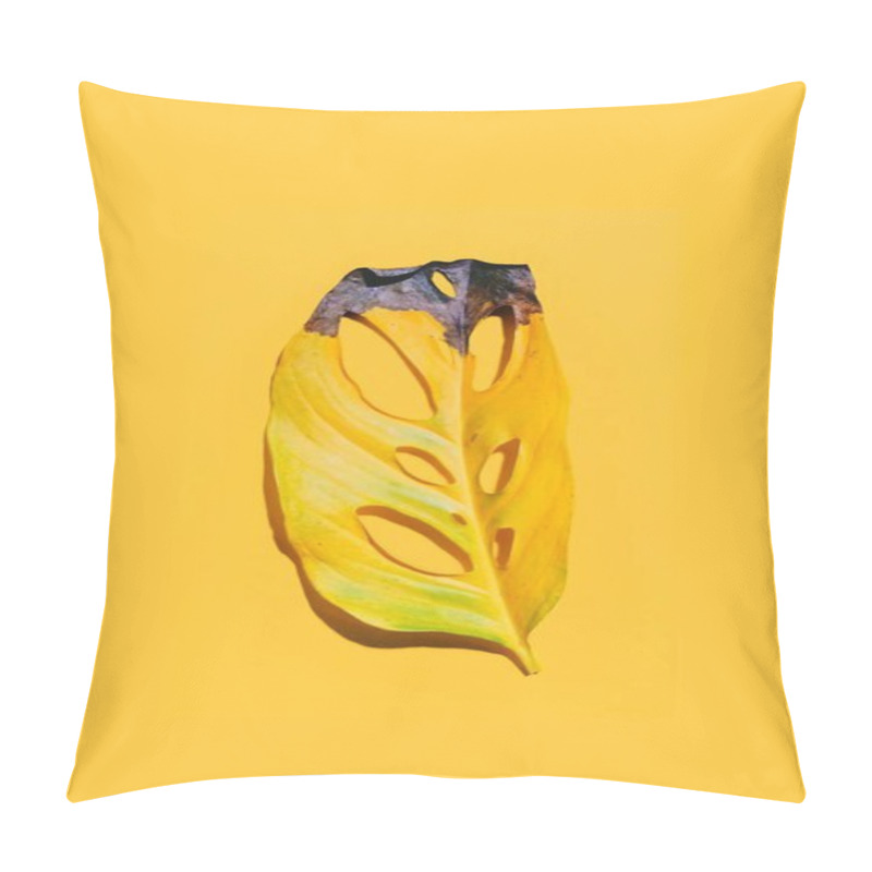 Personality  A Vibrant Yellow Monstera Leaf With Unique Cutouts Against A Solid Yellow Background. Pillow Covers