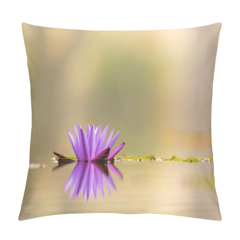 Personality  Beautiful Waterlily Or Lotus Flower In Pond. Pillow Covers