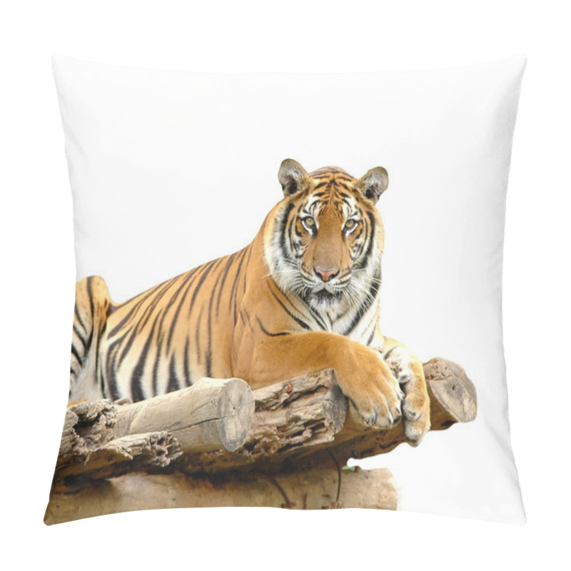 Personality  Bengal Tiger Pillow Covers