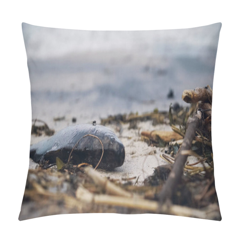 Personality  Stink Dead Fish Decaying On Polluted Seashore, Toxic Waste Harming Nature Pillow Covers