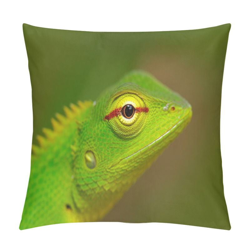 Personality  Green Garden Lizard Pillow Covers