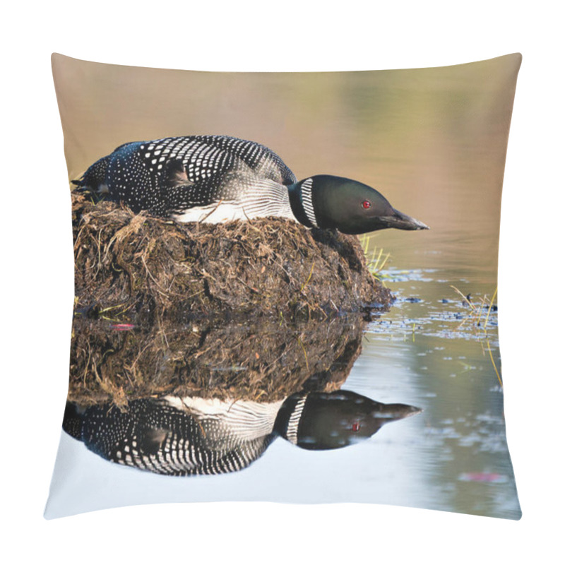 Personality  Loon Nesting On Its Nest With Marsh Grasses, Mud And Water By The Lake Shore In Its Environment And Habitat Displaying Red Eye, Black And White Feather Plumage, Greenish Neck With Body Reflection. Loon Nest Image. Loon In Wetland. Loon On Lake. Pillow Covers