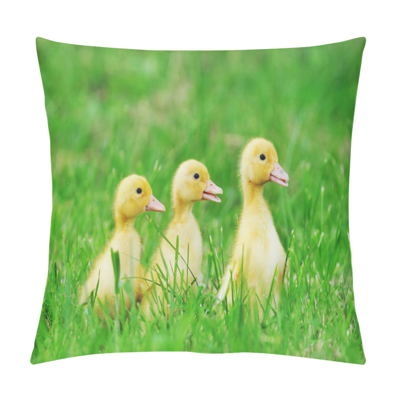 Personality  Small Ducklings Green Grass Pillow Covers