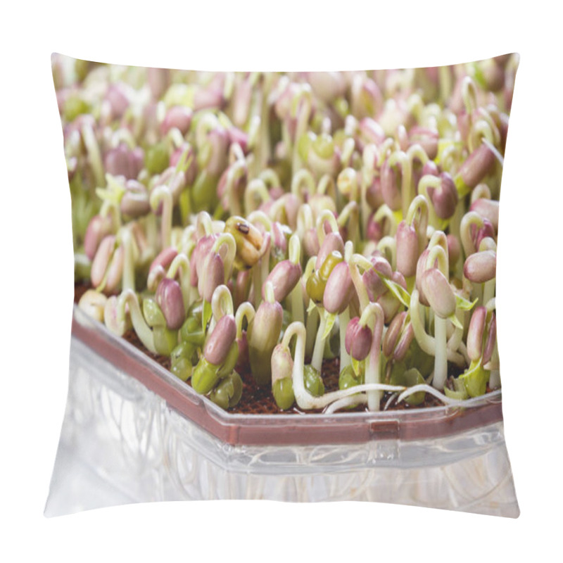 Personality  Green Soybean Sprouts  Pillow Covers