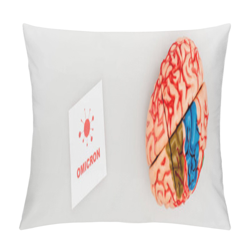 Personality  Top View Of Brain Model Near Card With Omicron Lettering And Bacteria Icon On Grey, Banner Pillow Covers