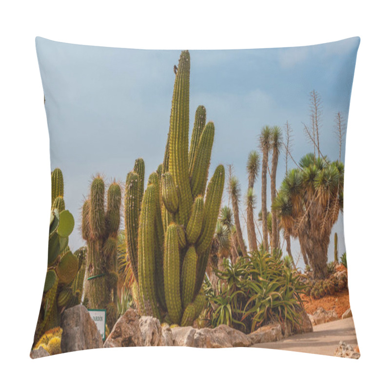 Personality  Cactus Landscape. Cactus Mexico. Cactus Field. Cactus Garden.  Pillow Covers