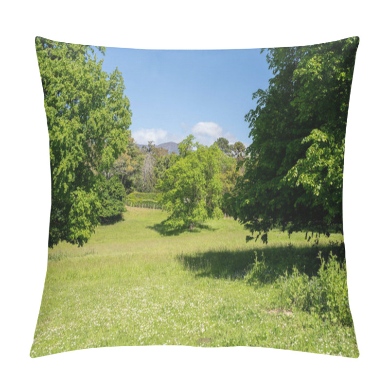 Personality  Trees In A Meadow On A Farm In A Country Estate On A Farm In Spring Pillow Covers