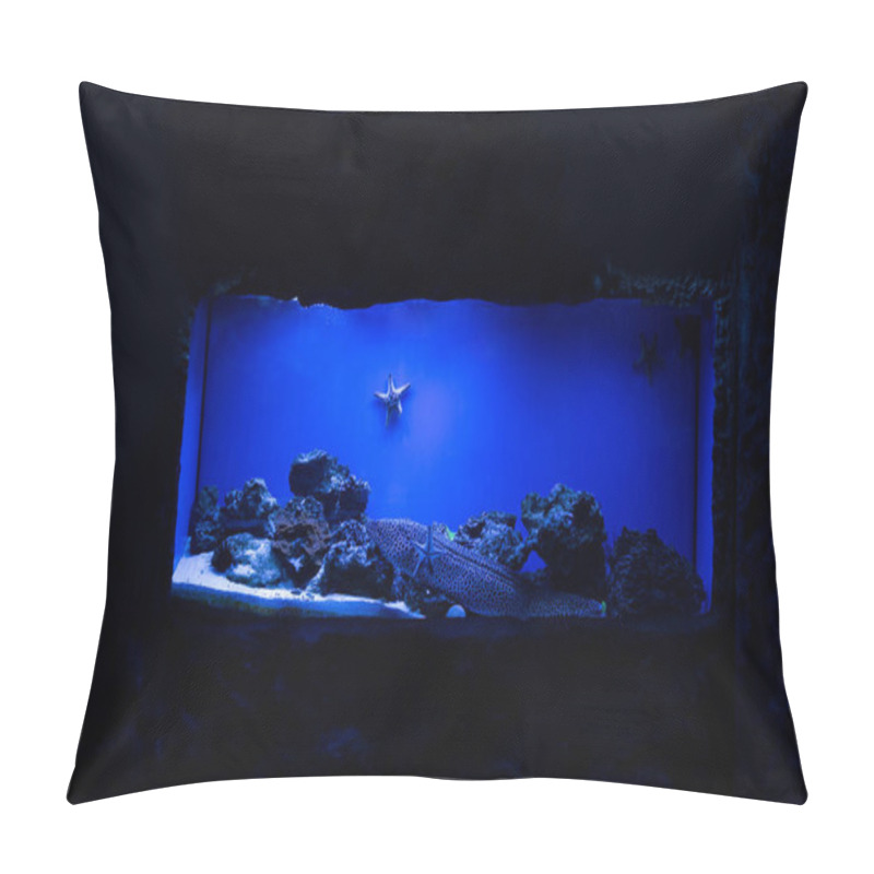 Personality  Fish Swimming Under Water Near Starfishes And Corals In Aquarium With Blue Lighting Pillow Covers