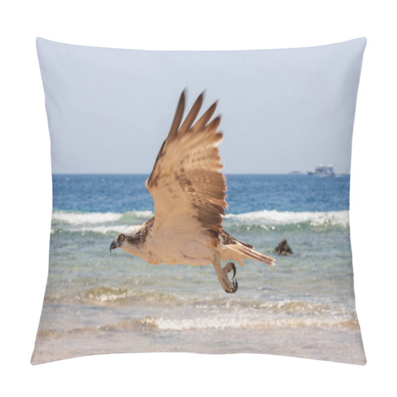 Personality  Pandion Haliaetus - Osprey Flies Over The Sea. The Head And Claws Are Visible. Wild Photo. Pillow Covers