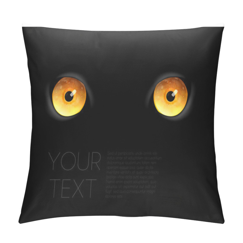 Personality  Animal Eyes, Black Background. Pillow Covers