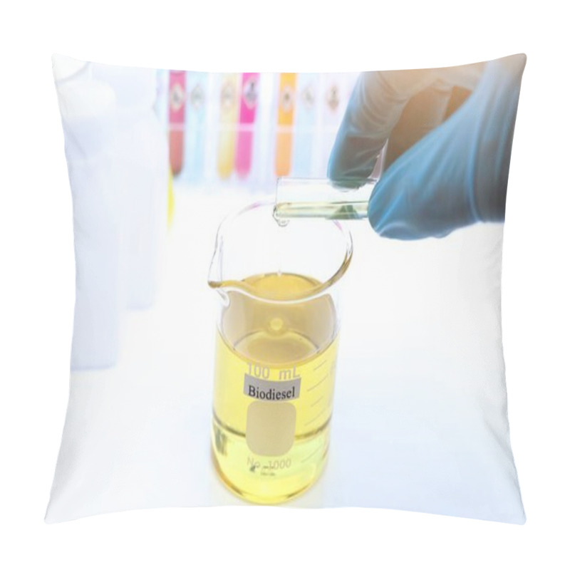 Personality  Biodiesel Experiments From Natural Raw Materials In The Laboratory And Environmentally Friendly Pillow Covers