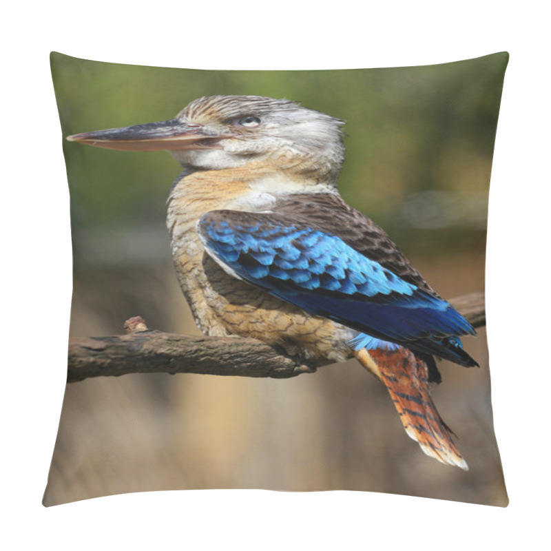 Personality  Blue-winged Kookaburra Pillow Covers