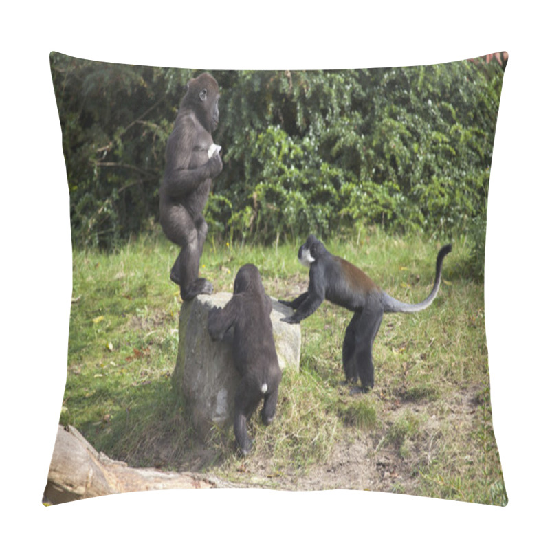 Personality  Gorilla And Lhoest Monkeys Pillow Covers