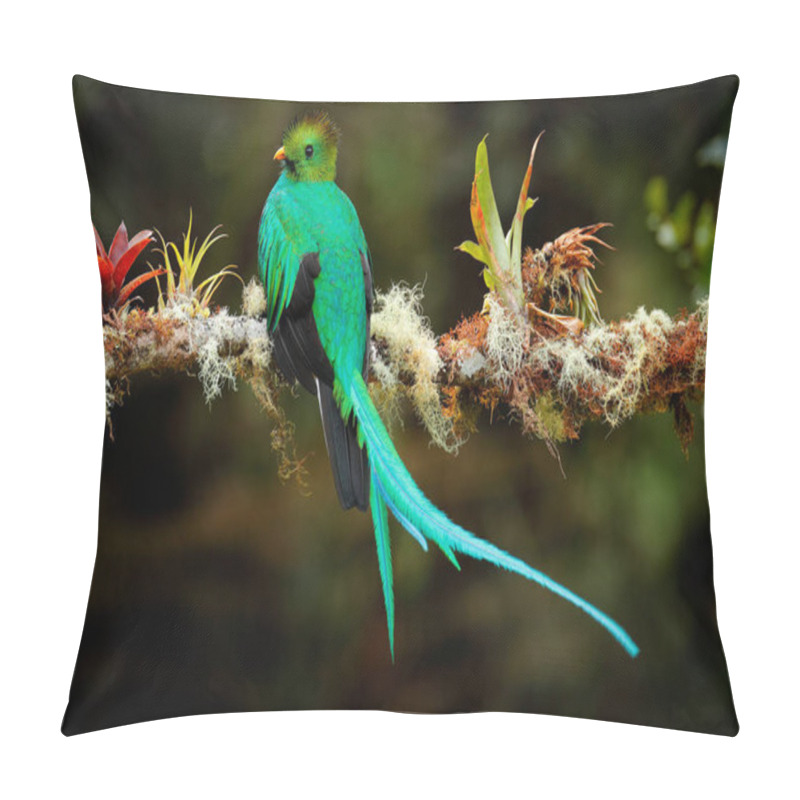 Personality  Magnificent Green And Red Bird Pillow Covers