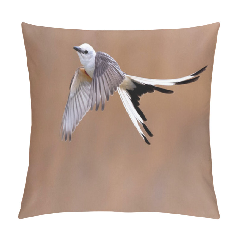 Personality  A Closeup Of The Scissor-tailed Flycatcher, Tyrannus Forficatus Flying Against A Blurry Background. Pillow Covers