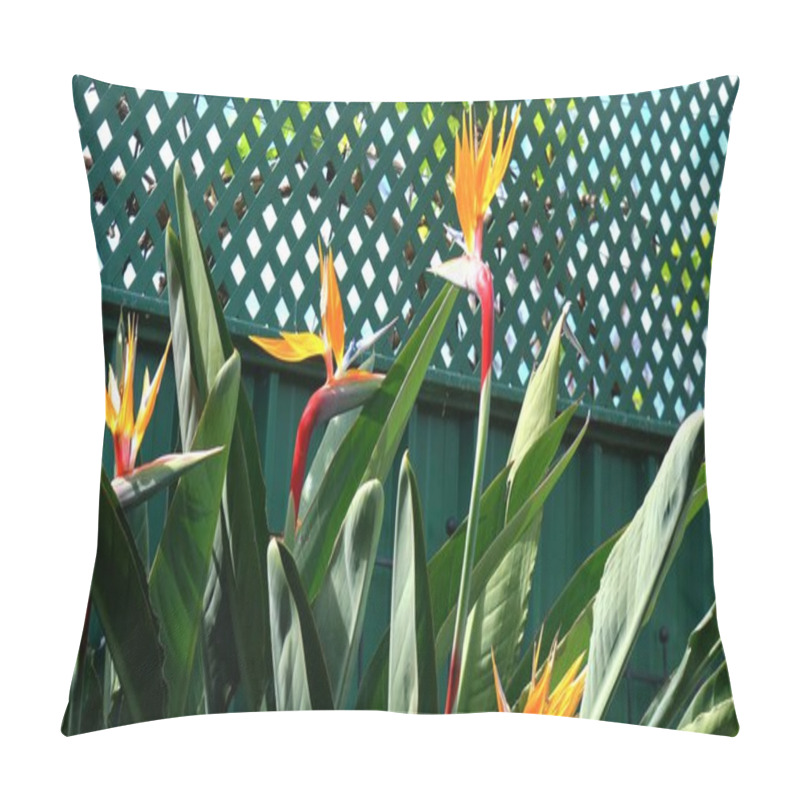 Personality  Bird Of Paradise Flowers Pillow Covers