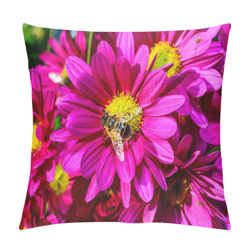 Personality  Batman Hoverfly - Myathropa Florea,  Flower Fly Hoverfly Collects Nectar On Autumn Flowers Chrysanthemum  Pillow Covers