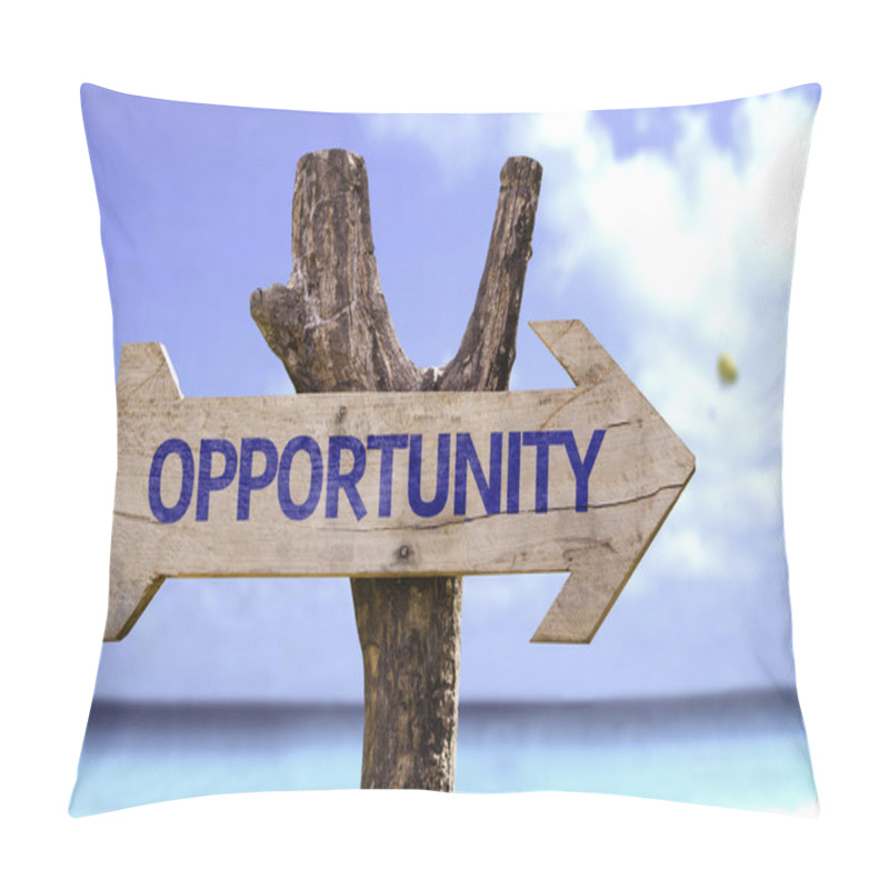 Personality  Opportunity Wooden Sign Pillow Covers