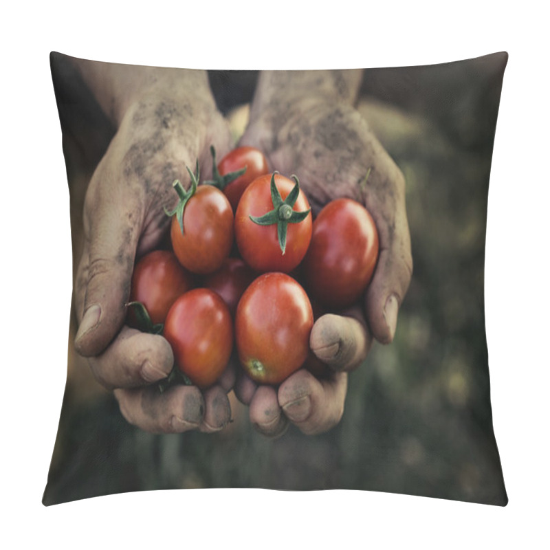 Personality  Tomato Harvest Pillow Covers