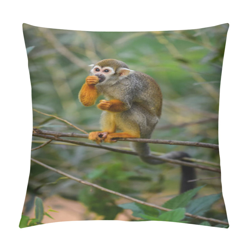 Personality  Common Squirrel Monkey - Saimiri Sciureus, Beautiful Primate From South American Forest. Pillow Covers