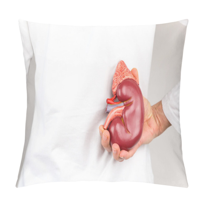 Personality  Hand Holding Model Of Human Kidney Organ At Body Pillow Covers