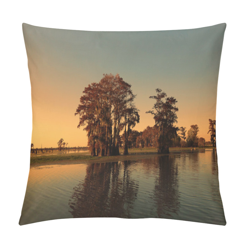 Personality  Louisiana Bayou And Cypress Trees Pillow Covers