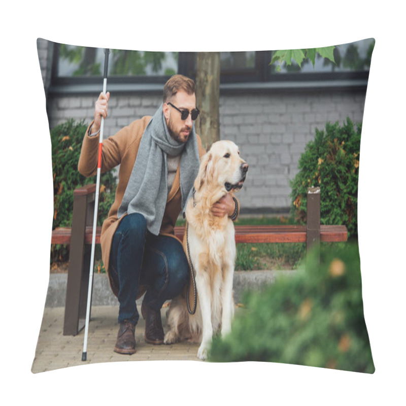 Personality  Blind Man With Walking Stick Hugging Guide Dog On Street  Pillow Covers