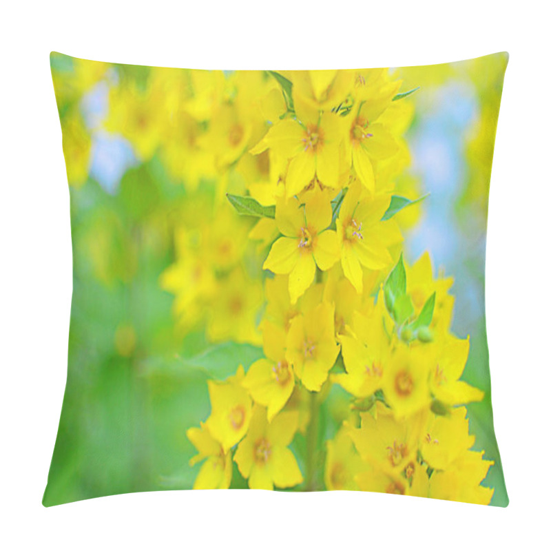 Personality  Lysimachia Punctata (Garden Loosestrife, Yellow Loosestrife Or Garden Yellow Loosestrife)  Pillow Covers