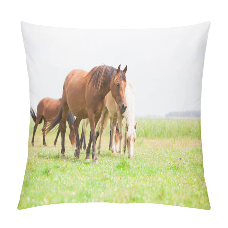 Personality  European Wild Horses  Pillow Covers