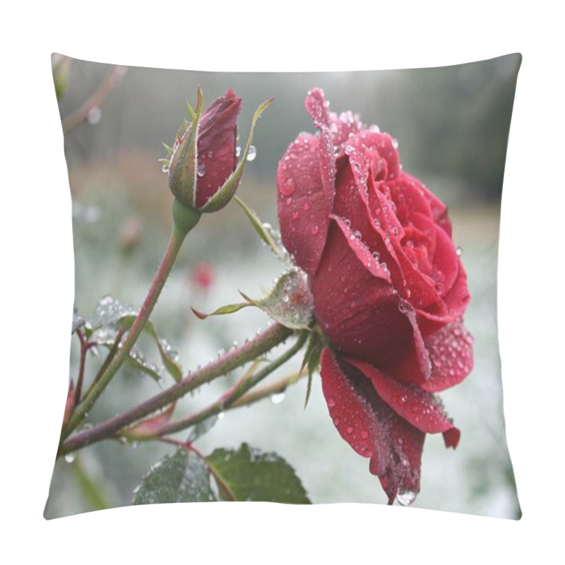 Personality  This Close-up Image Highlights A Single Red Rose In Full Bloom. The Velvety Texture Of The Petals And The Rich Red Hue Are Captured In Intricate Detail. The Soft Lighting And Dew-covered Petals Evoke Feelings Of Love, Romance, And Timeless Beauty. Pillow Covers